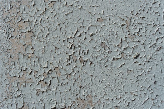 A wall with peeling paint. The paint is light blue and the wall is grey. photo