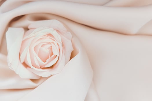 Delicate blush rose resting on smooth silk fabric in soft lighting photo