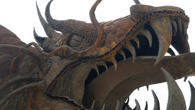 Dragon Head Close Up at Galleta Meadows in Borrego Springs California photo