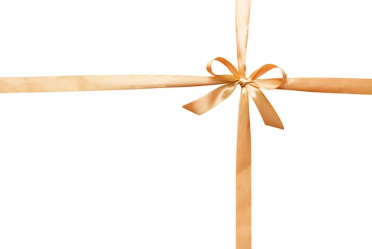 Gold ribbon bow isolated on white background. empty space photo