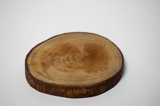 wooden tree cut with rings and natural bark, isolated on white background. photo