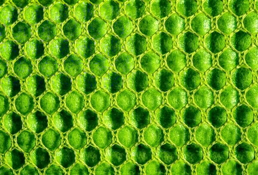 Texture of Yoga mat, green sponge mat in the nylon mesh bag photo