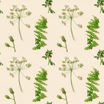 Summer field plants as creative floral composition or natural seamless pattern. Botanic flat lay. photo
