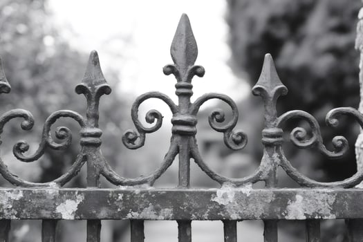 Old ornate wrought iron fence showing fleur de lis and rusting in black and white photo
