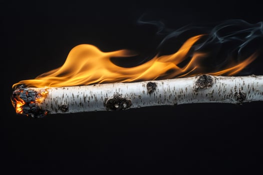 Burning birch branch with flames and smoke on black background photo