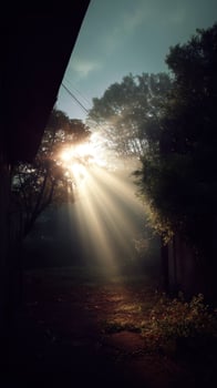 Sunlight breaking through trees nature scene outdoor photography early morning fog serene atmosphere photo