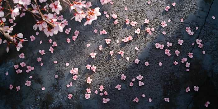 Pink blossoms scattered on a dark textured surface above view photo