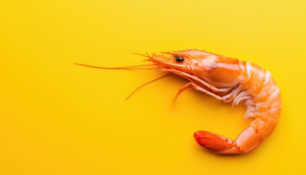 Cooking delicious shrimp recipe kitchen food photography bright yellow background close-up culinary delight photo