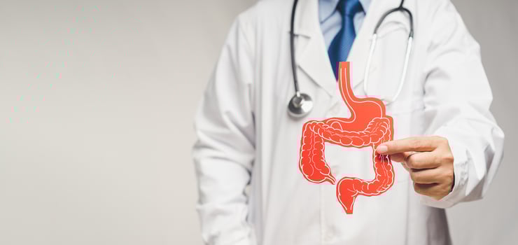 Doctor holding a intestine symbol made from red paper while standing on a gray background photo