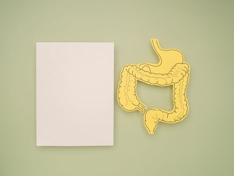 Intestine symbol made from paper and a blank white paper on a green background photo