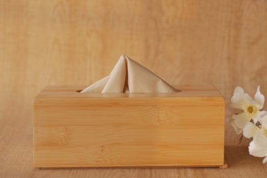 natural bamboo tissues displayed in a wooden box photo