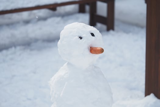 Snowman with carrot nose stands in a snowy landscape photo