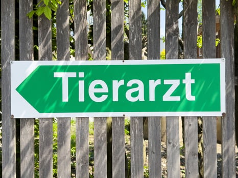 Tierarzt sign on wooden fence with green arrow indicating veterinary clinic direction photo