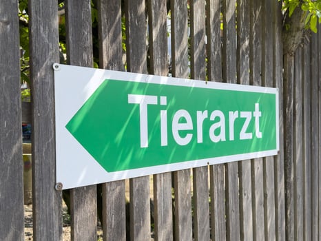 Green tierarzt sign on wooden fence indicating veterinary direction in german photo