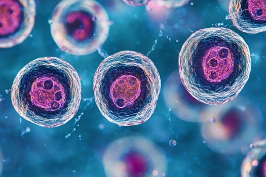 Human cells dividing and multiplying in a microscopic view photo