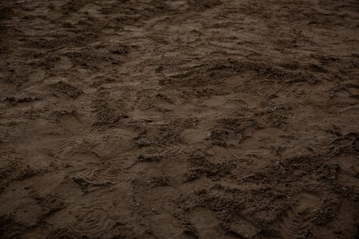 Uneven dirt surface with visible footprints and tire tracks, featuring loose soil and compacted areas under dim lighting with an earthy tone. photo