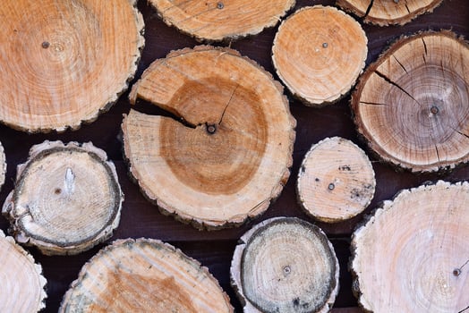 Different round wooden disks as a background on a board photo