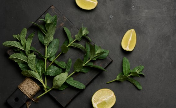 Whole and cut limes with fresh mint leaves arranged on a dark textured surface. photo