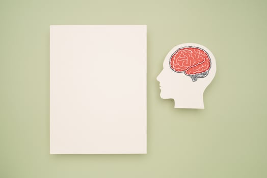 A blank white paper and a red brain shape symbol on a green background. Space for text. photo