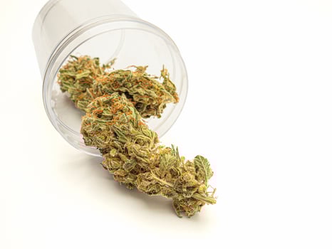 Close-up of dry cannabis buds outside of a jar on a white background. photo