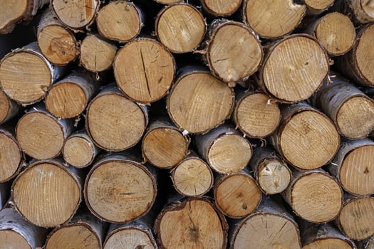 Wood logs neatly stacked for storage and future use in construction or woodworking projects photo