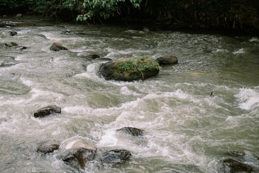 River rapids rush over mossy boulders, creating a dynamic waterscape photo