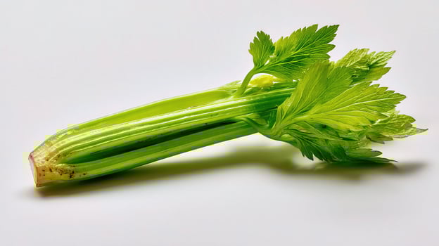 A celery stalk on a white background photo