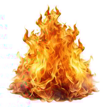 fire on a white background photo
