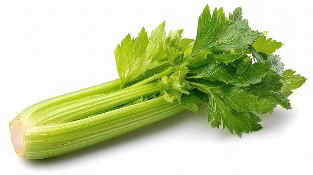 A celery leaf on a white background photo