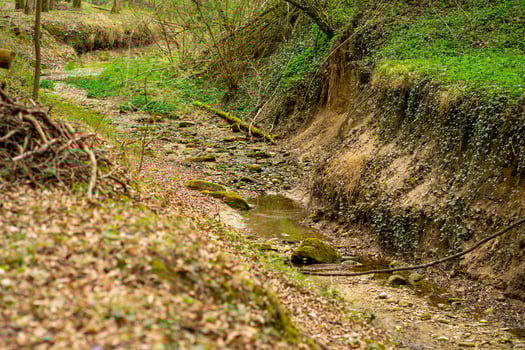The bed of a forest mountain stream,dry from the lack of snow and rain in winter photo