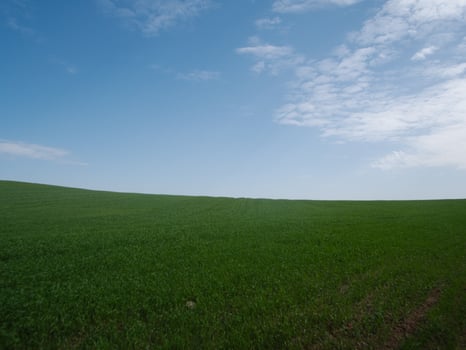 A tranquil and serene landscape showcases a vast lush green field that extends beneath a bright blue sky photo
