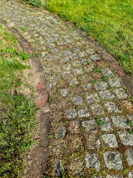 Stone paved garden path with grass growing between tiles photo