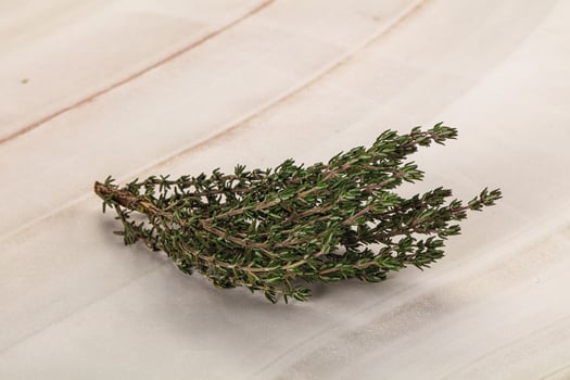 A small piece of fresh rosemary on a wooden surface photo