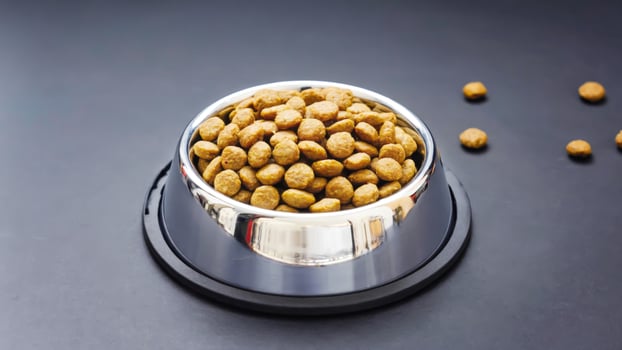 Stainless steel dog bowl filled with dry kibble on sleek dark background, with scattered pieces around. Perfect for pet food advertising, animal care branding, and premium pet nutrition visuals photo