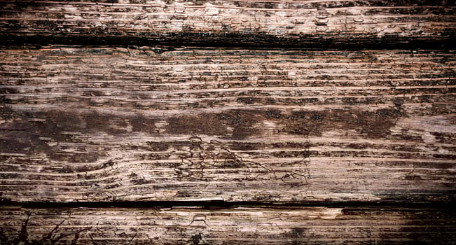 Texture of natural old wood. Natural wallpaper. Close-up. photo