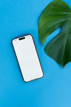 Smartphone With Leaf On Blue Background photo