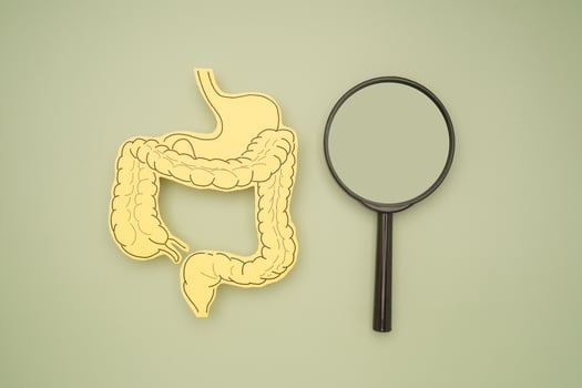 Top view of an intestine symbol made from yellow paper and a magnifier on a green background photo