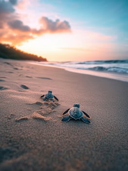 Little Turtles Rising from Beach photo