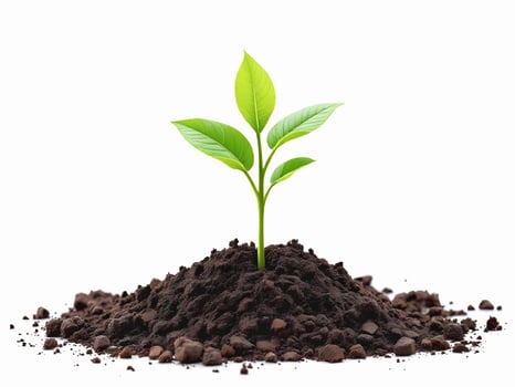 Young Green Plant Growing from Soil Pile Symbolizing New Beginnings and Growth photo