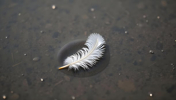 a white feather floating on top of a body of water photo