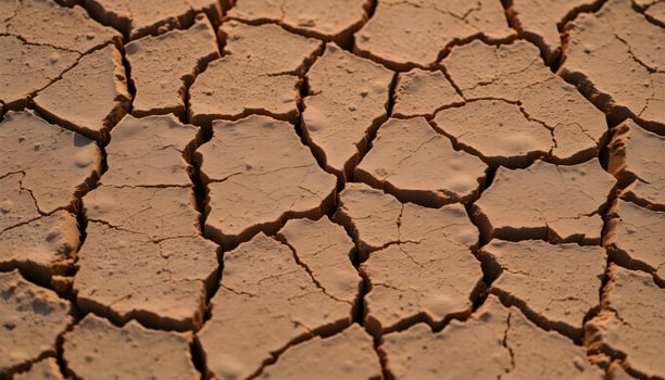 a close up view of a cracked surface photo