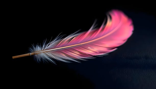 a pink feather resting on a black surface photo