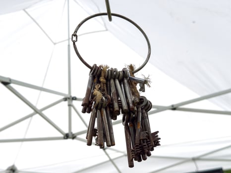 Vintage skeleton keys on rusty ring against canopy background photo