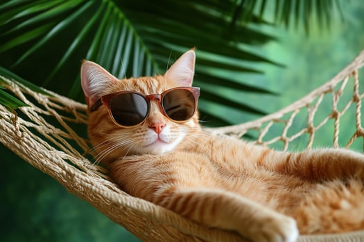 cute pleased red tabby cat in sunglasses lying in knitted hammock on green background with palm leaves around, funny animal summer vacation concept photo
