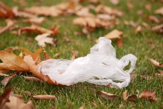 Plastic bag discarded among autumn leaves in a grassy park setting photo