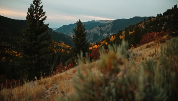 Autumnal mountain vista, golden foliage, lush trees, tranquil landscape photo