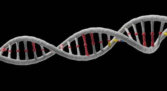 Detailed rendering of a DNA molecule structure on a black backdrop photo