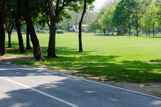 Pathway in Greenery Public Park photo