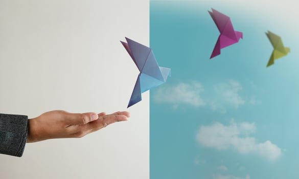Peace, Hope concepts. World International Peace Day. Sustainable and Responsible Business, Hand Released a Paper Origami White Dove into the Sky photo