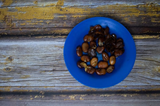 Blue plate containing koro beans photo